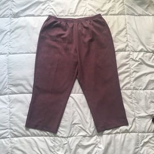 Purple Alfred Dunner Pants Size 22W